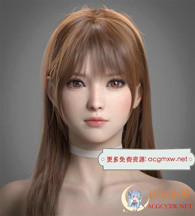 [神级3D同人]究极逼真3D死或生 Hxwxrf巨佬 23最新全作品大合集[新作/步兵/800M]  8012 次元小屋